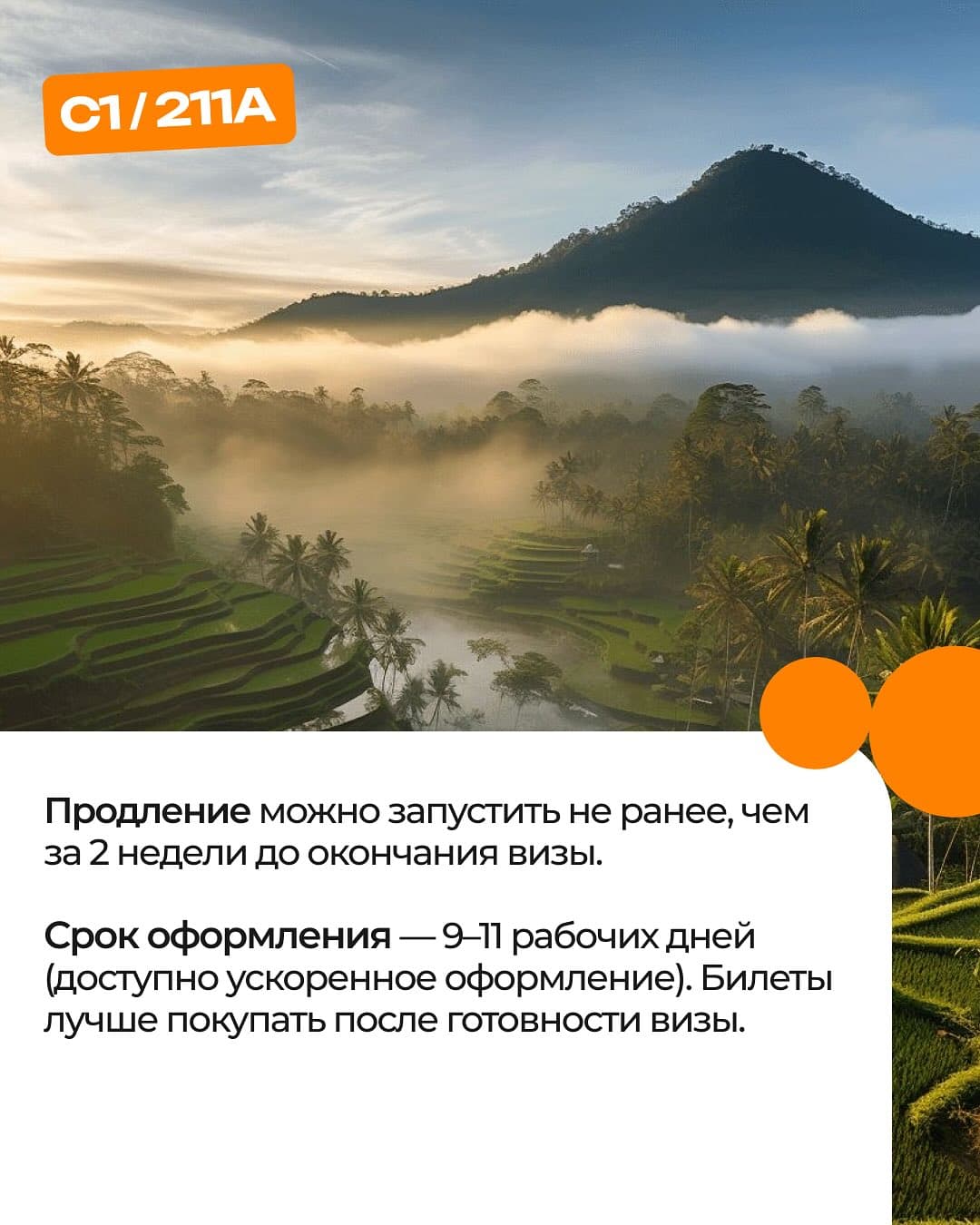 Гид Butler Visa по визам в Индонезию, слайд 6