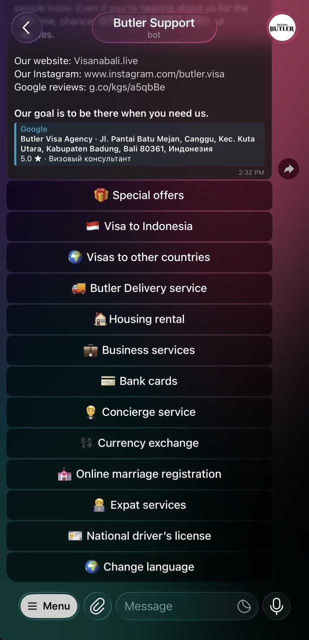 Butler Visa Telegram bot